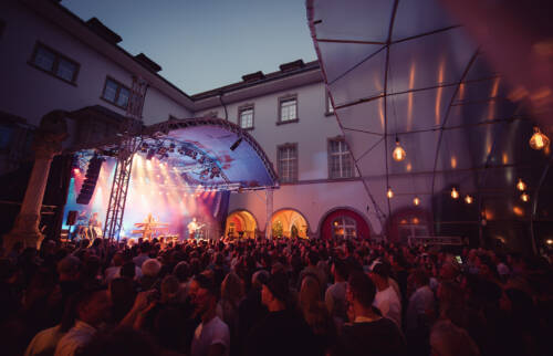 The Gardener The Tree Salt Tree 11