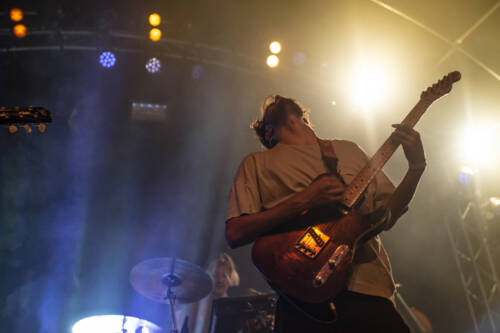 Panda Lux 20200718224451