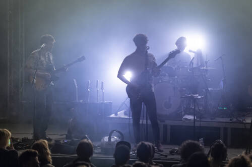 Panda Lux 20200718230209