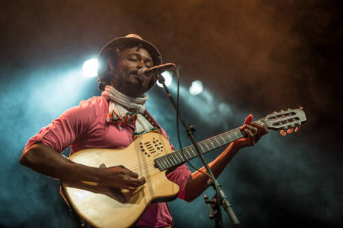 Bassekou kouyate 005