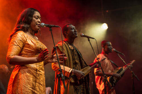 Bassekou kouyate 014