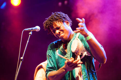 Bassekou kouyate 017