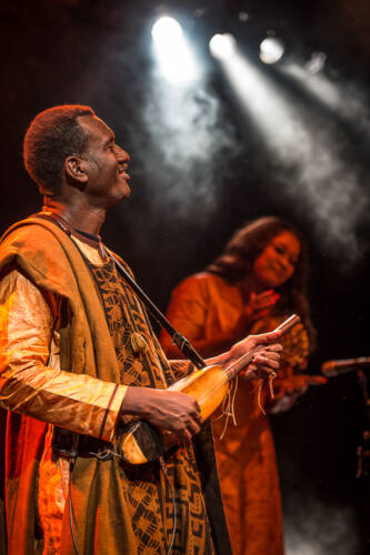 Bassekou kouyate 019
