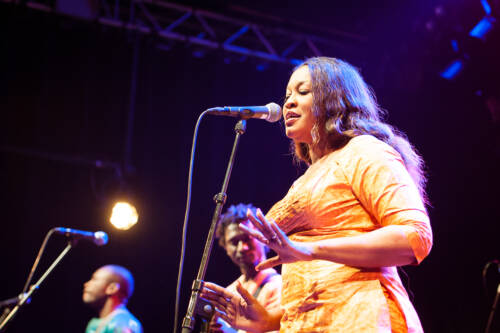 Bassekou kouyate 025