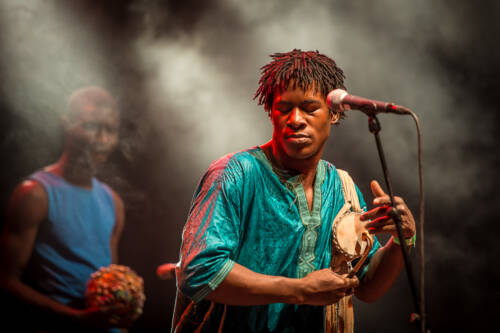Bassekou kouyate 029