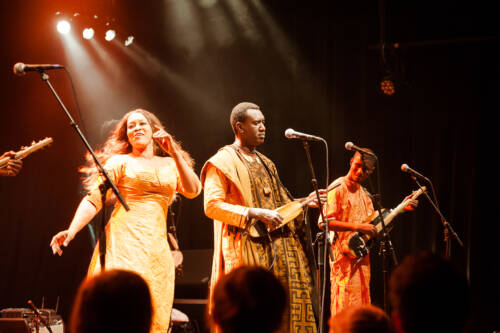 Bassekou kouyate 034