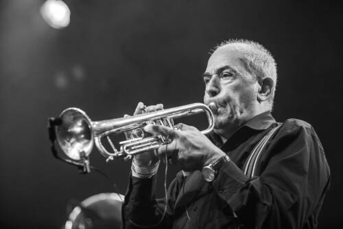 Kufe 2016 schattenwerk fanfare ciocarlia 7737