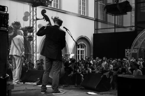 Kufe 2016 schattenwerk jackstoiker 6574