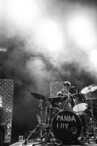 Kulturfestival 2017 panda lux 4928