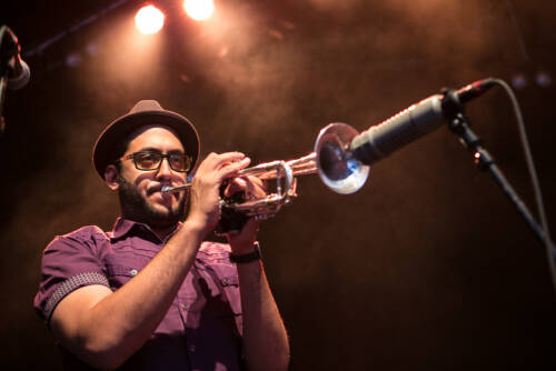 Rupa and the april fishes 2515
