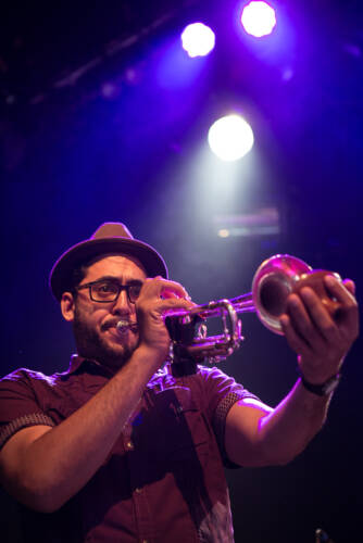 Rupa and the april fishes 2527