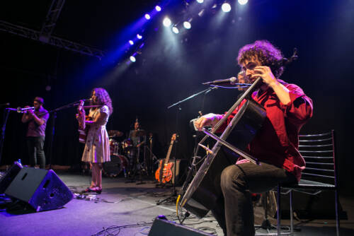 Rupa and the april fishes 2529