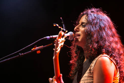 Rupa and the april fishes 2574