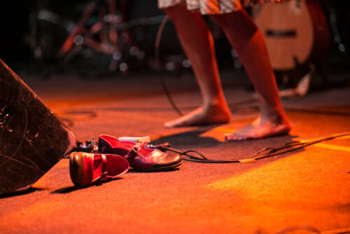 Rupa and the april fishes 2587