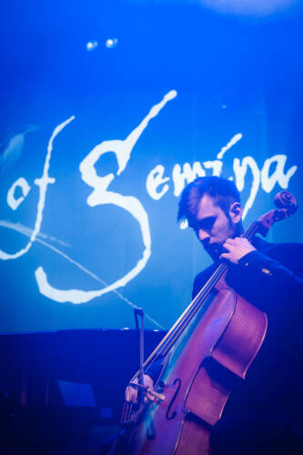 The beauty of gemina 015