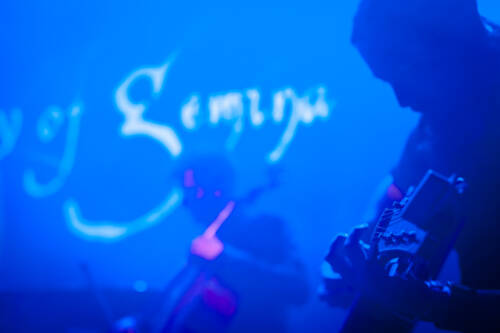 The beauty of gemina 016